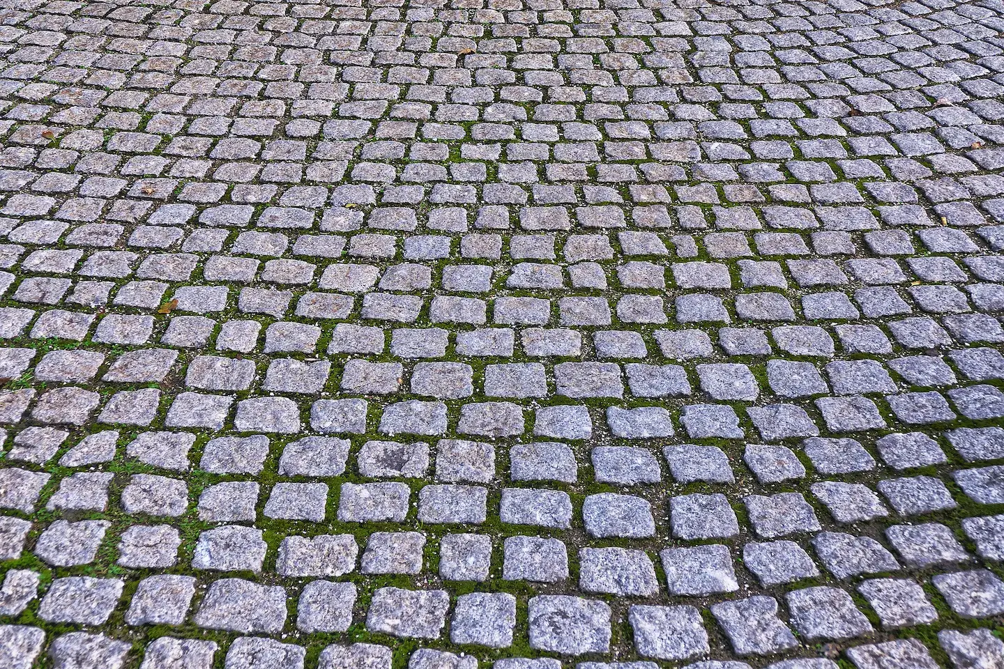 grass paving driveways in newcastle