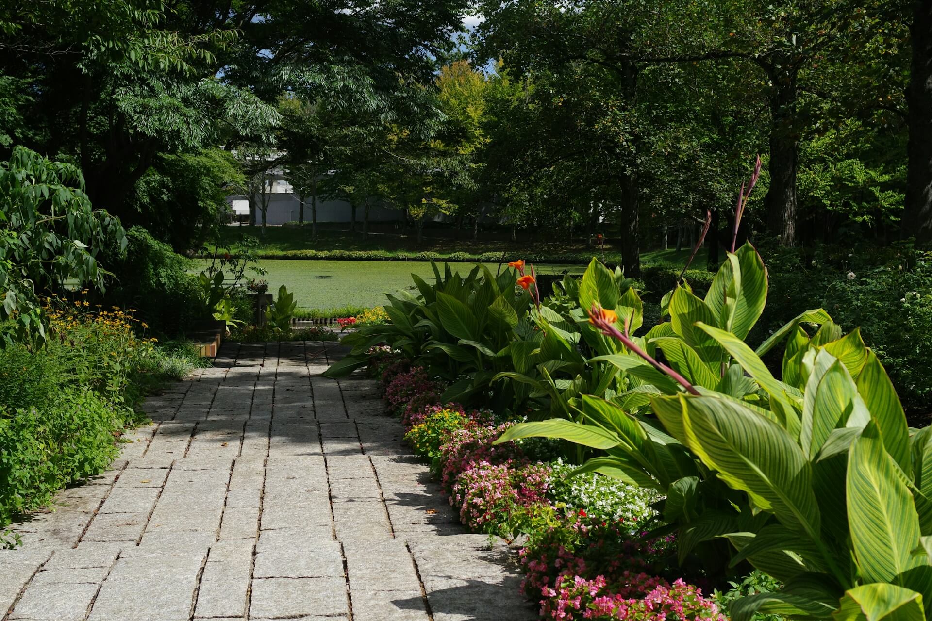 small garden paving ideas for newcastle homes